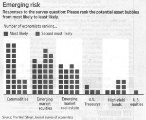 Emerging risk – Responses to the survey question: Please rank the potential asset bubbles from most likely to least likely. - Quelle: Wall Street Journal, 13.11.2009, Seite 9.