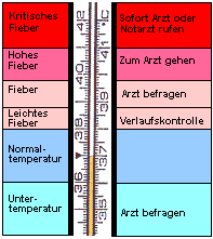 Fiebertypen und Handlungsrichtschnur. - Quelle: MedizInfo.