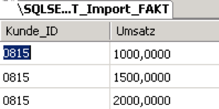 2011-06-24_crew_T_Import_Fakt_2