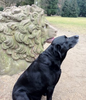 Me in front of a lion.