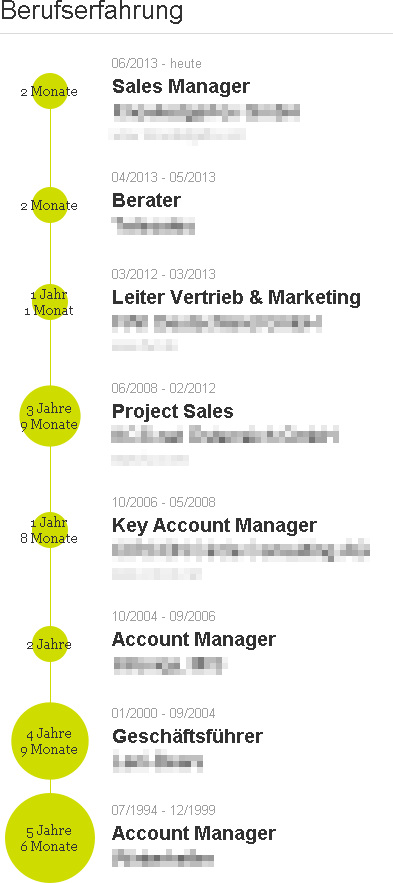 Berufserfahrung im Xing-Profil