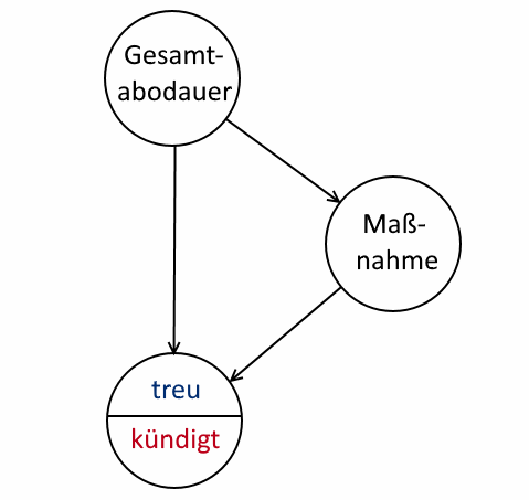 Kausaldiagramm