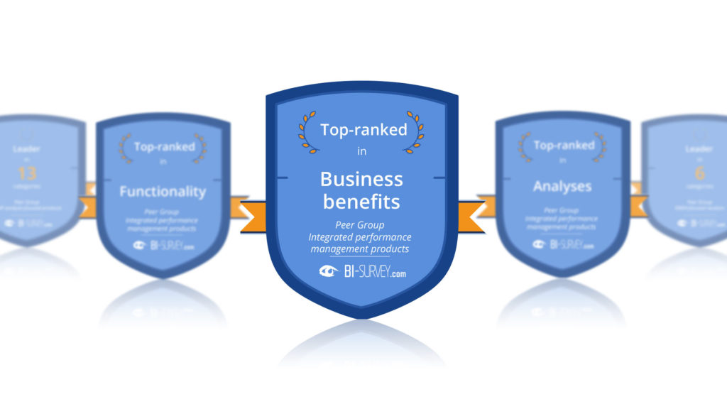 BI_Survey_2019