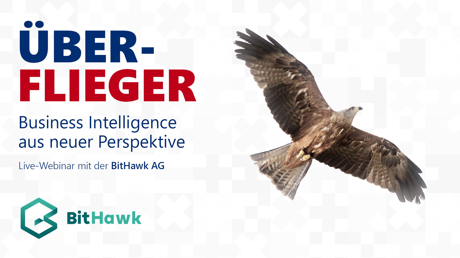 Live-Webinar mit BitHawk