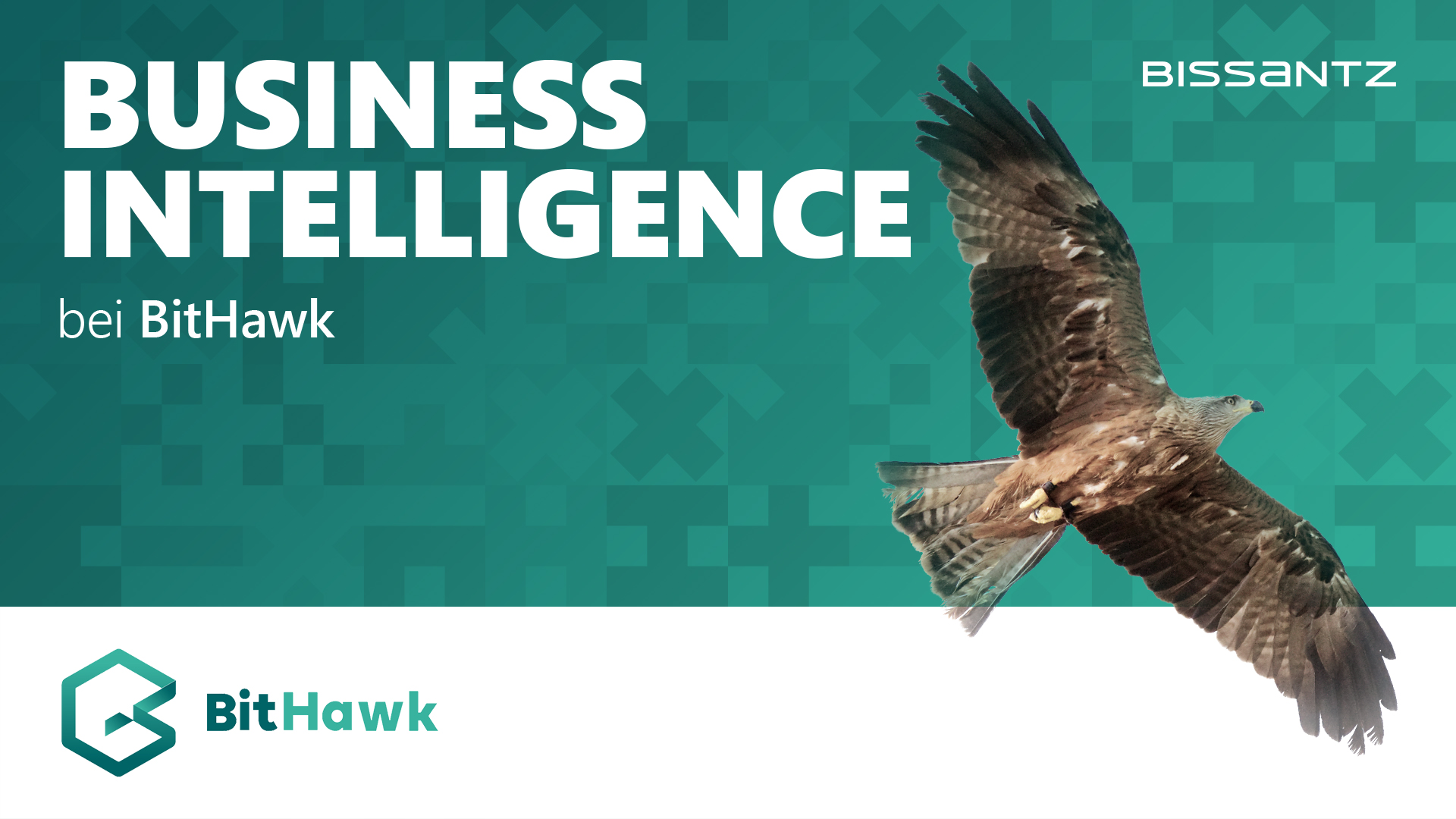 Webinar-Aufzeichnung zur Kundenanwendung: Business Intelligence mit Bissantz bei BitHawk