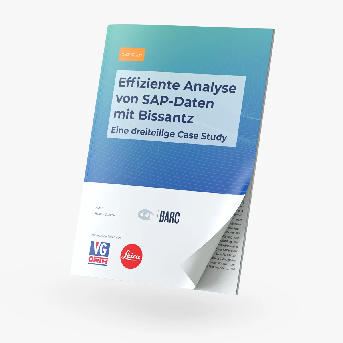 Case Study: Effiziente Analyse von SAP-Daten mit Bissantz.