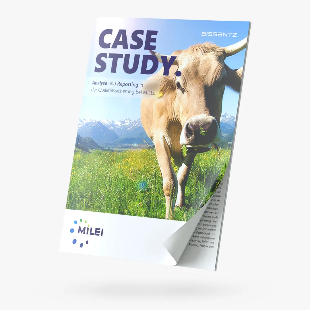 Bissantz Case Study Milei