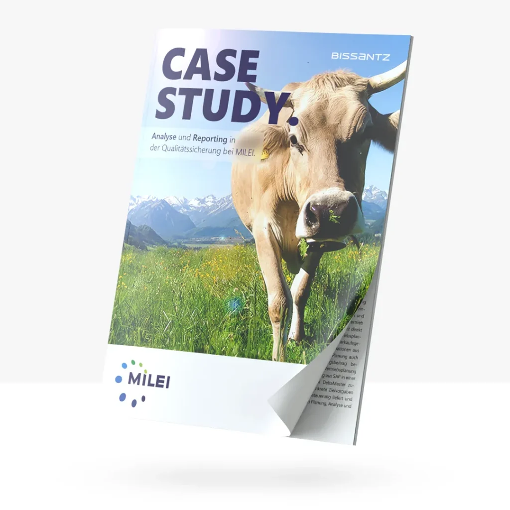 Bissantz Case Study Milei