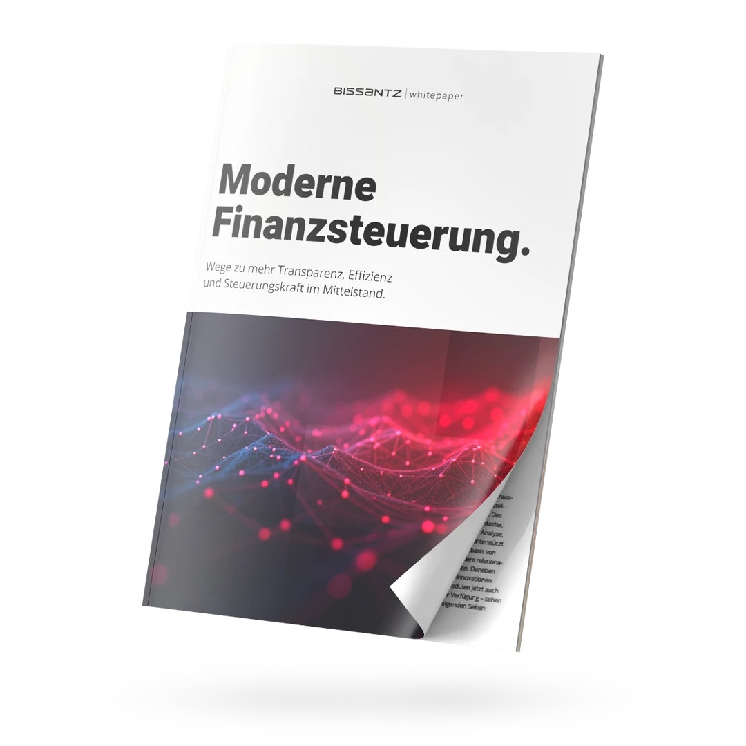 Whitepaper: Moderne Finanzsteuerung