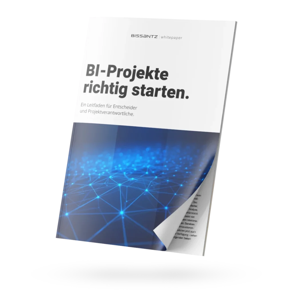 Whitepaper: BI-Projekte richtig starten.