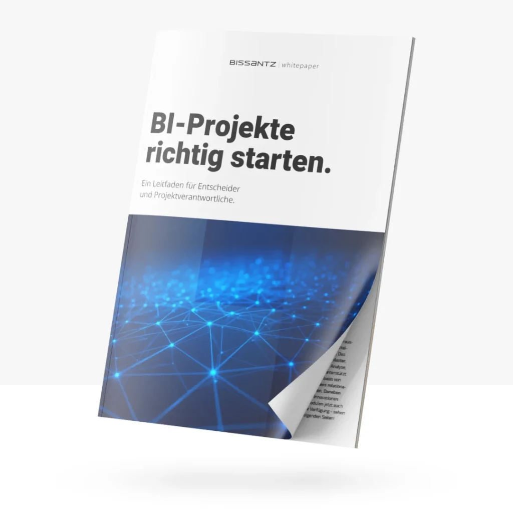 Whitepaper: BI-Projekte richtig starten.