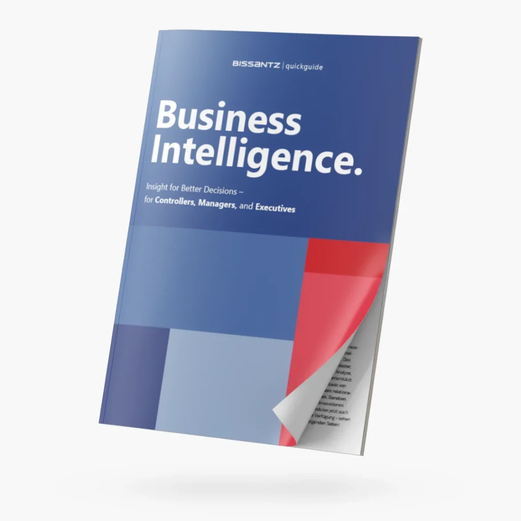 3D Visual of the Bissantz Quickguide "Business Intelligence"