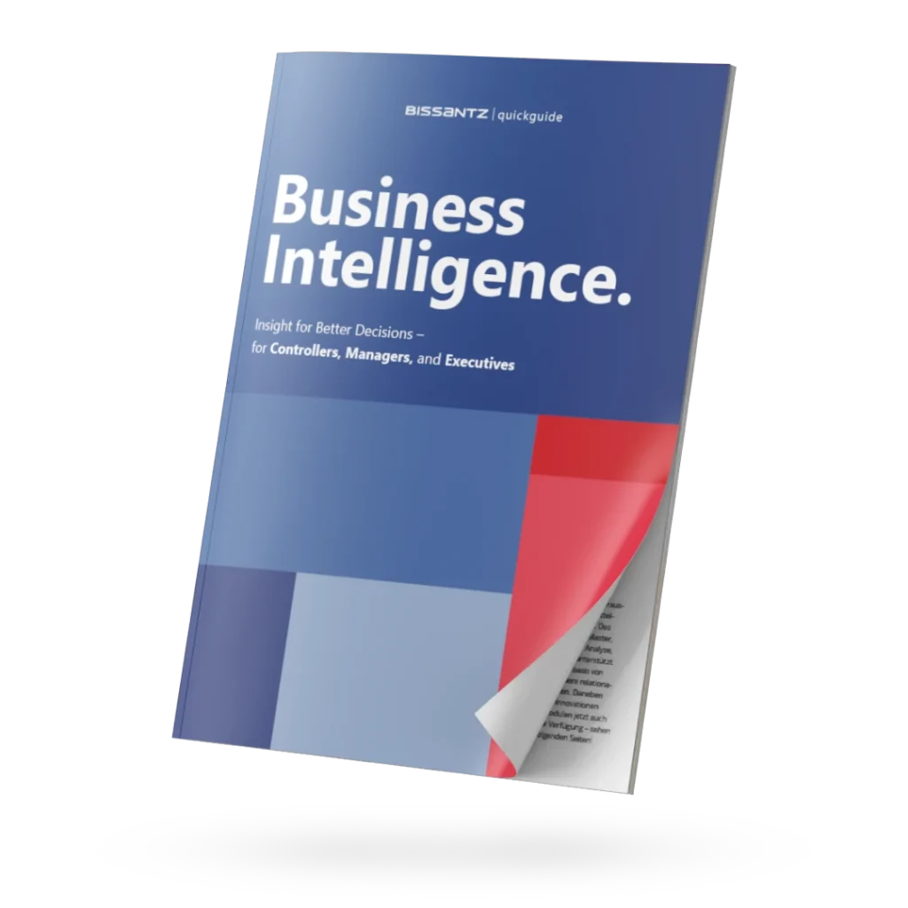3D Visual of the Bissantz Quickguide "Business Intelligence"