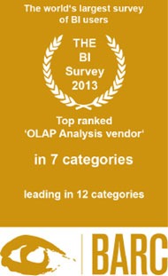 BI Survey 2013: BARC Top Ranking Siegel