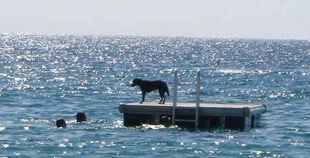 Bella at the Cote d’Azure