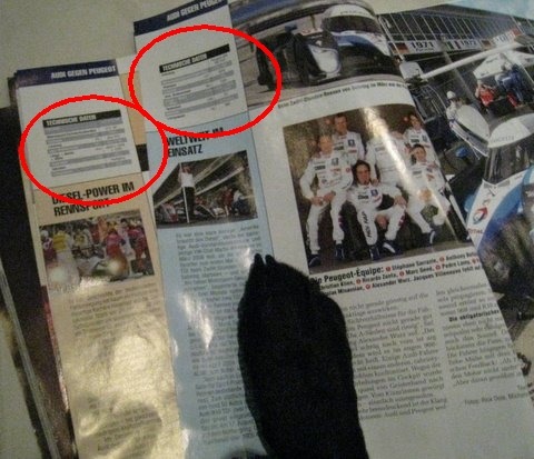 Le Mans article with my paw