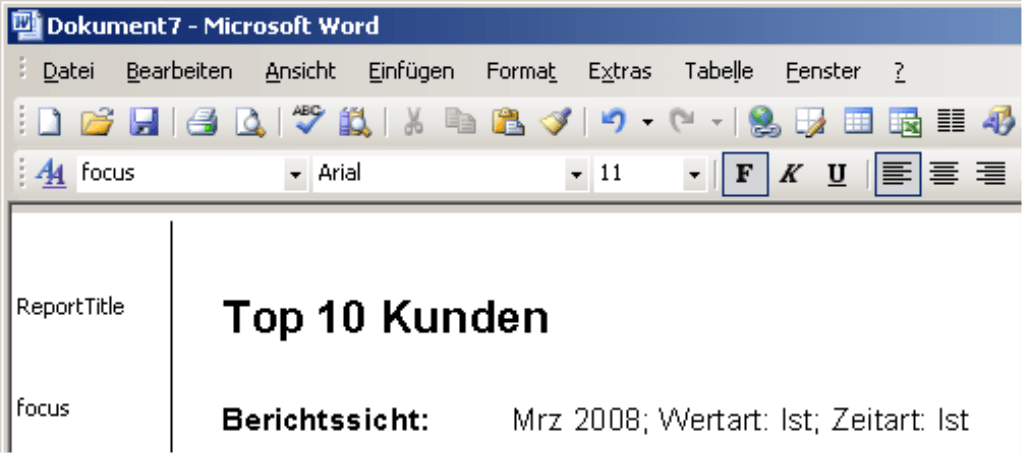 Microsoft Word mit ReportTitle (Top 10 Kunden) und Berichtssicht (Mrz 2008; Wertart: Ist; Zeitart: Ist)