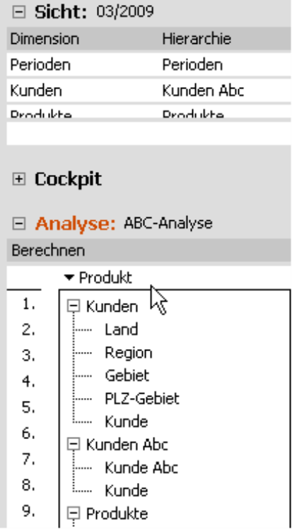 Ausschnitt einer ABC-Analyse mit parallelen Hierarchien in Hierarchiemenüs