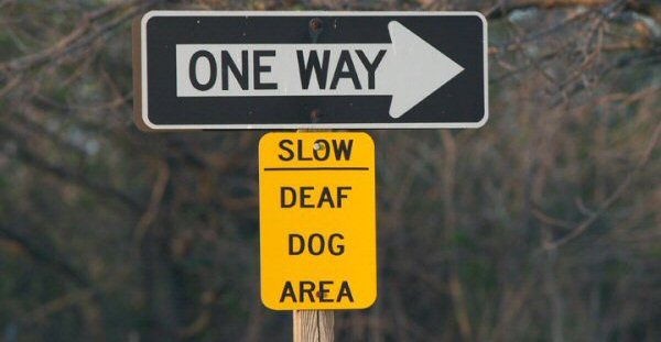 one-way-deaf-dog-area_600px.jpg
