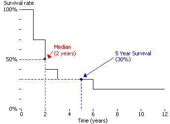 Survival curve3